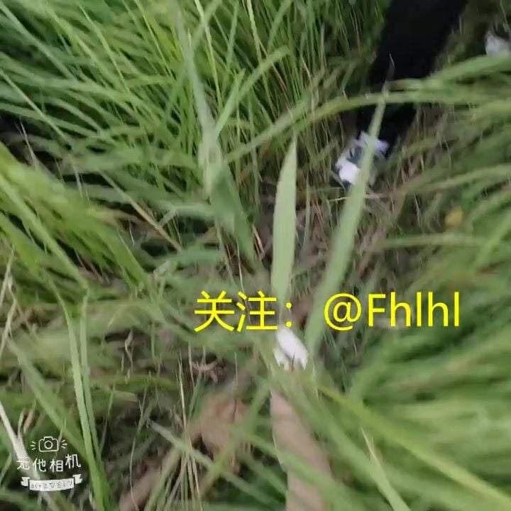 Dâm nữ nứng lồn gạ anh hàng xóm ra bờ sông vừa show hàng cho a sờ mó vừa đụ public